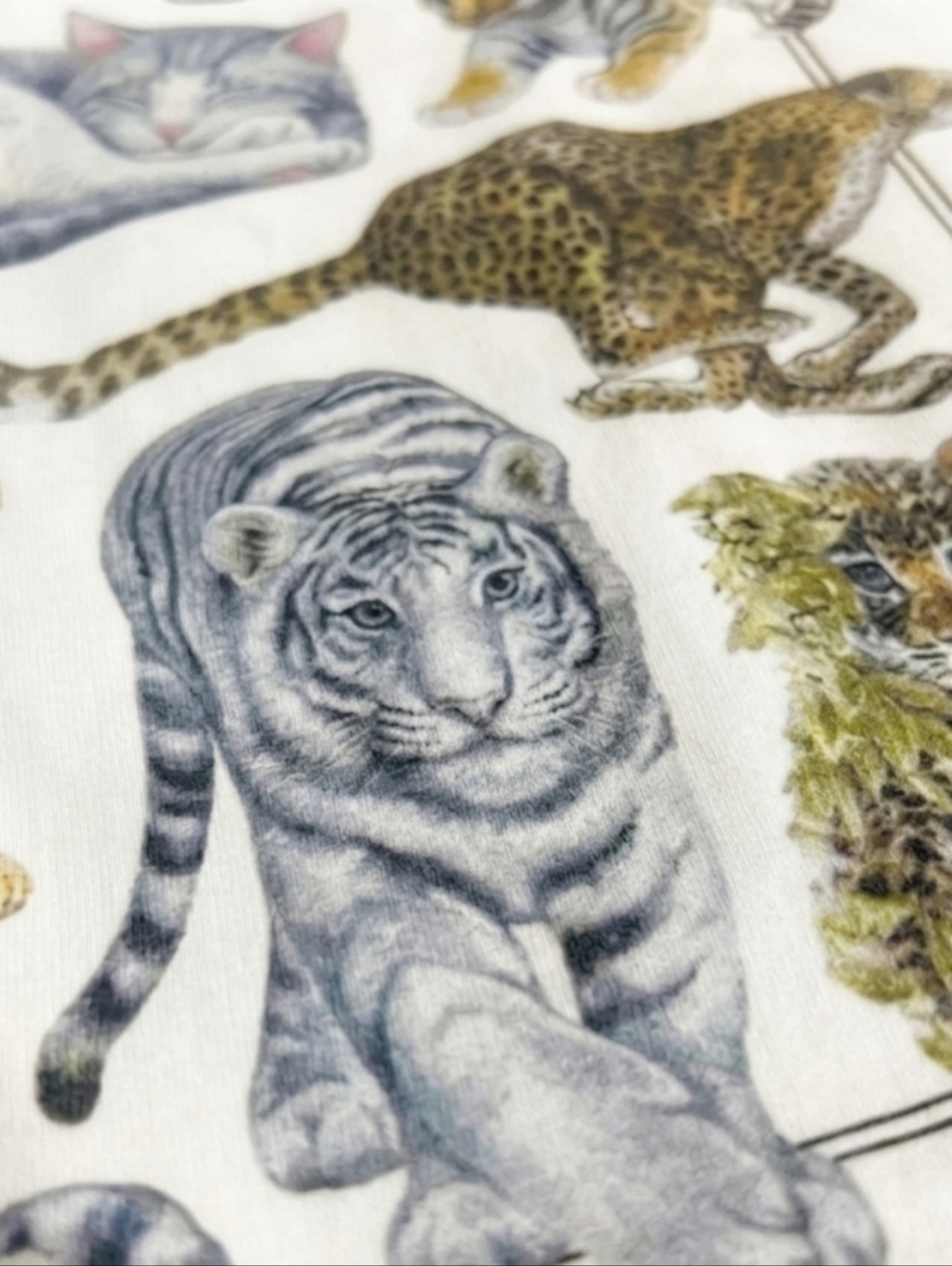 😎Cool Cats & Kittens Short Sleeve Oversized Tee - Picture 4 of 6